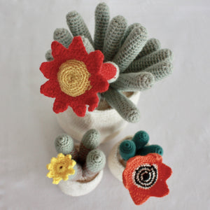 Flowering Crochet Cactus-Red Trumpet Flower