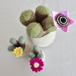 Flowering Crochet Cactus-Flat Yellow Flower with Stripped Cluster