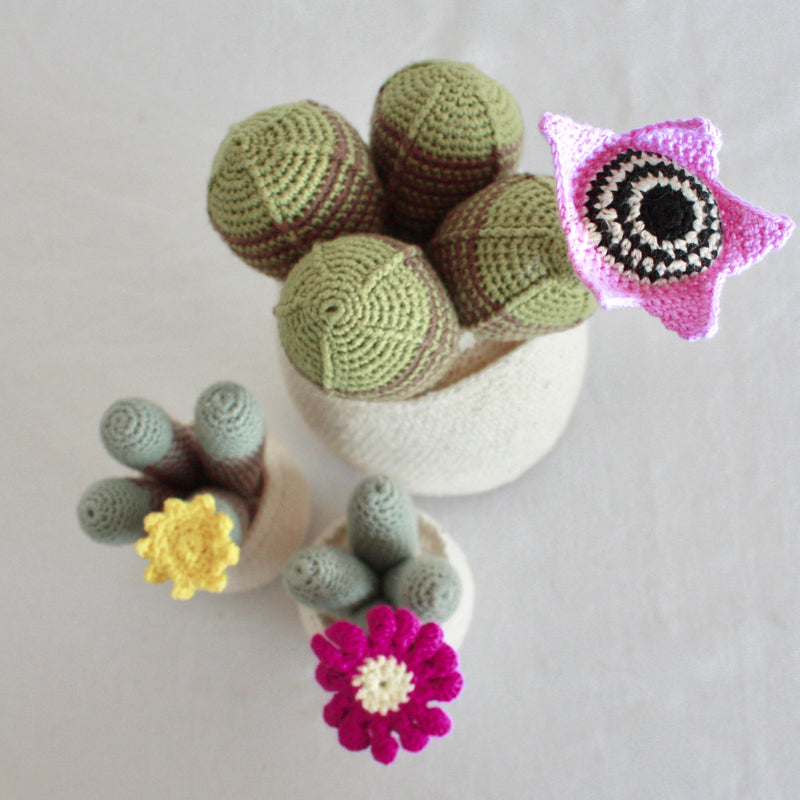 Flowering Crochet Cactus-Flat Yellow Flower with Stripped Cluster