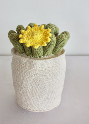 Flowering Crochet Cactus-Flat Yellow Flower