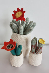 Flowering Crochet Cactus-Red Trumpet Flower
