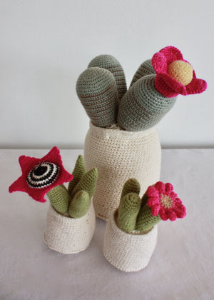 Flowering Crochet Cactus-Pink Ball Centre Flower