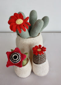 Flowering Crochet Cactus-Barrel Cactus with Red Daisy
