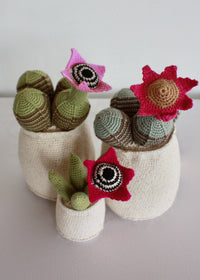 Flowering Crochet Cactus-Pink Trumpet Flower
