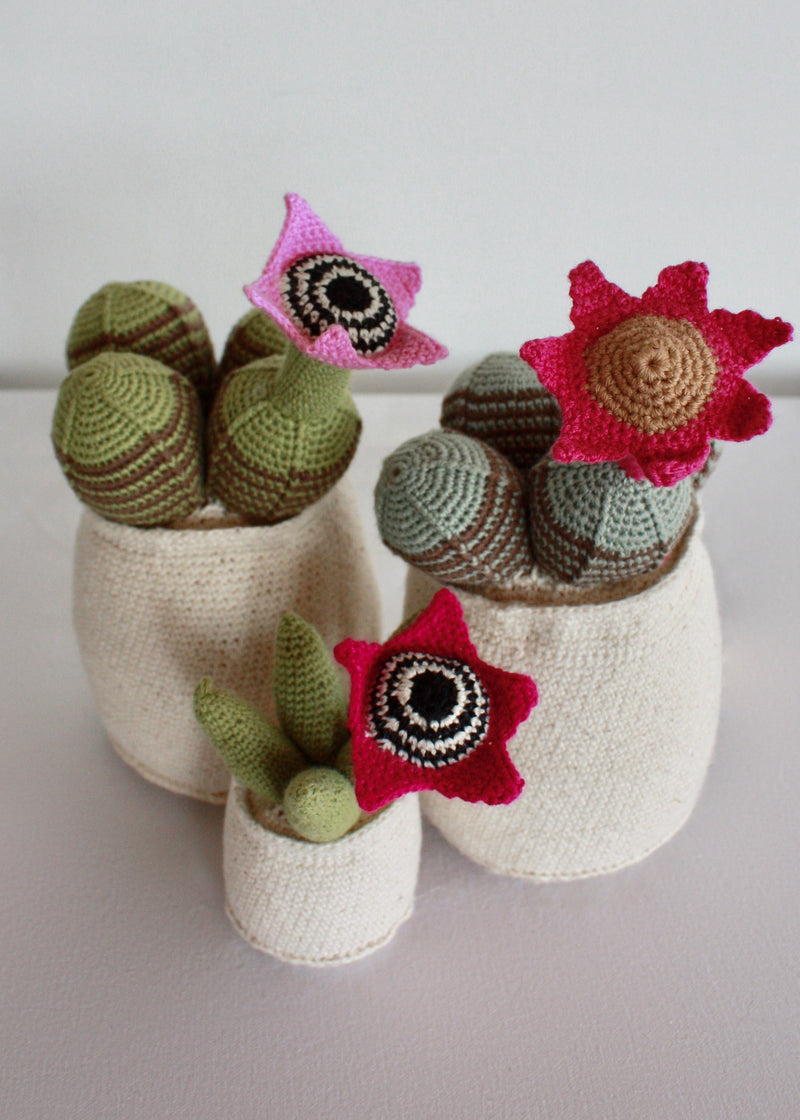Flowering Crochet Cactus-Pink Trumpet Flower