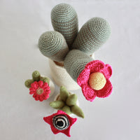 Flowering Crochet Cactus-Pink Daisy Flower