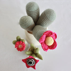Flowering Crochet Cactus-Pink Ball Centre Flower