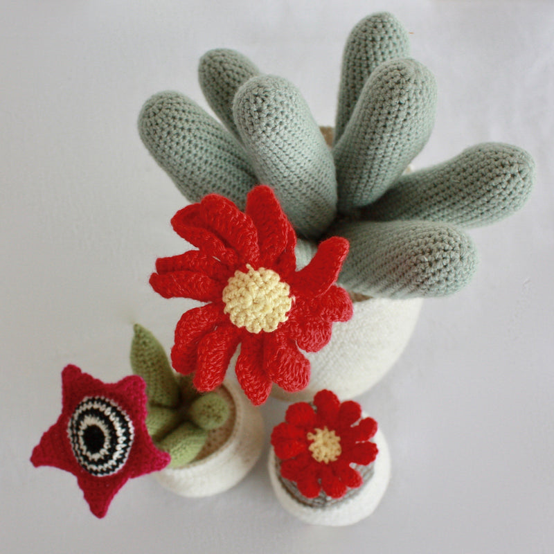 Flowering Crochet Cactus-Barrel Cactus with Red Daisy