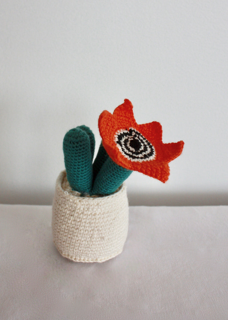 Flowering Crochet Cactus-Orange Star Flower