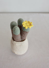 Flowering Crochet Cactus-Flat Yellow Flower with Stripped Cluster
