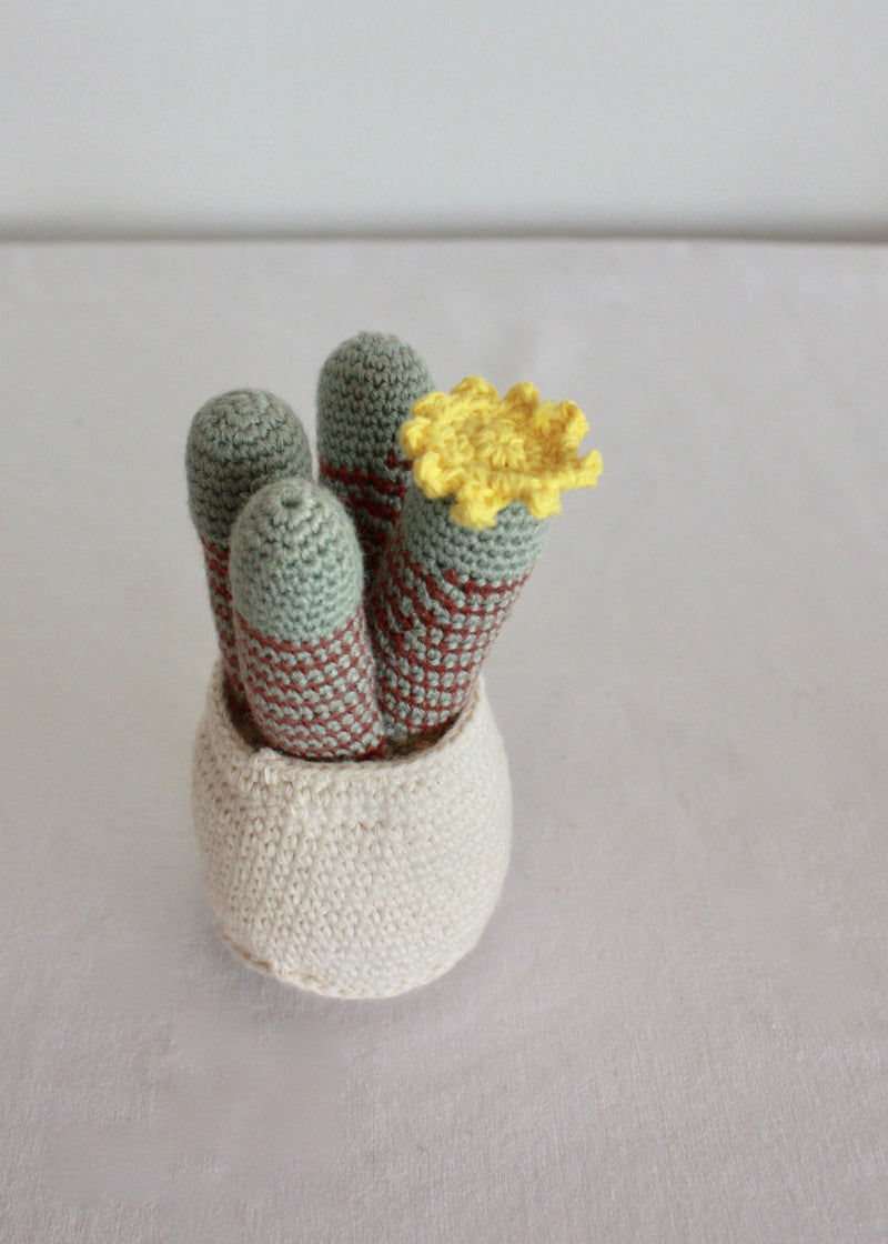 Flowering Crochet Cactus-Flat Yellow Flower with Stripped Cluster