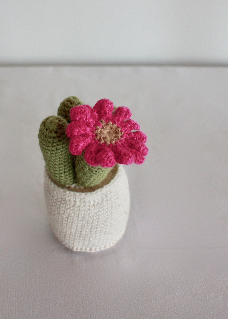 Flowering Crochet Cactus-Pink Daisy Flower
